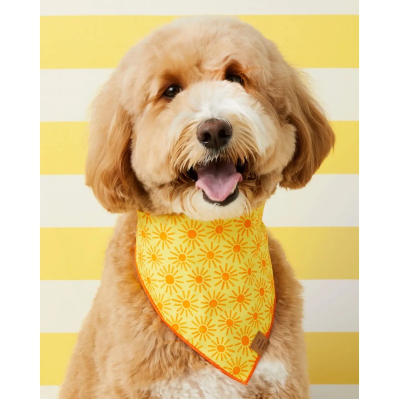 Here Comes the Sun Dog Bandana (Made in the USA) (FINAL SALE)