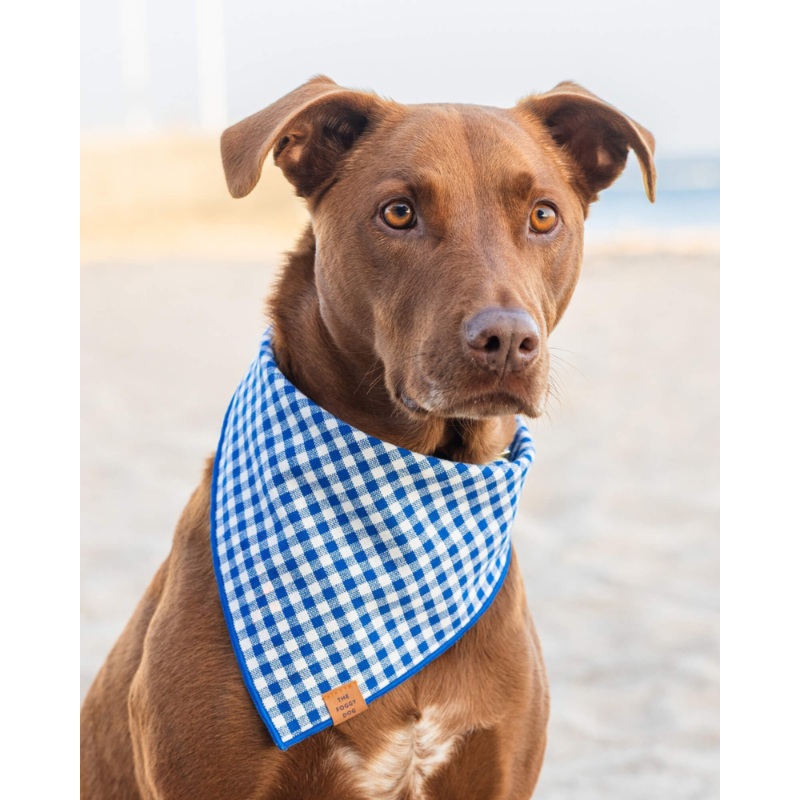 Lake Blue Gingham Dog Bandana|Small|Medium|Large