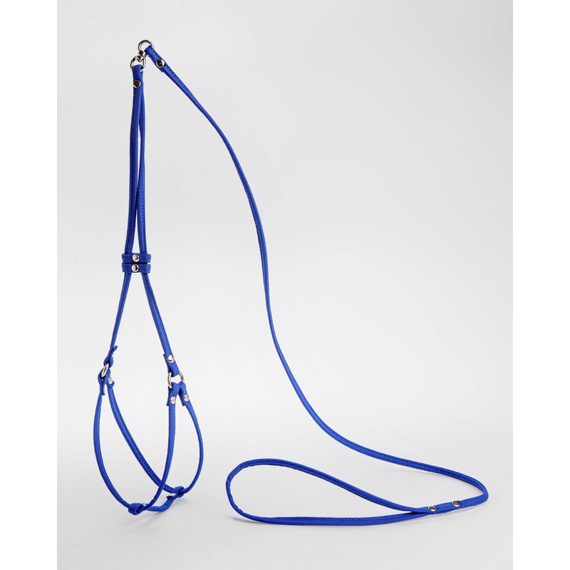 Nylon Step-In Dog Harness in Cobalt Blue (Made in the USA)