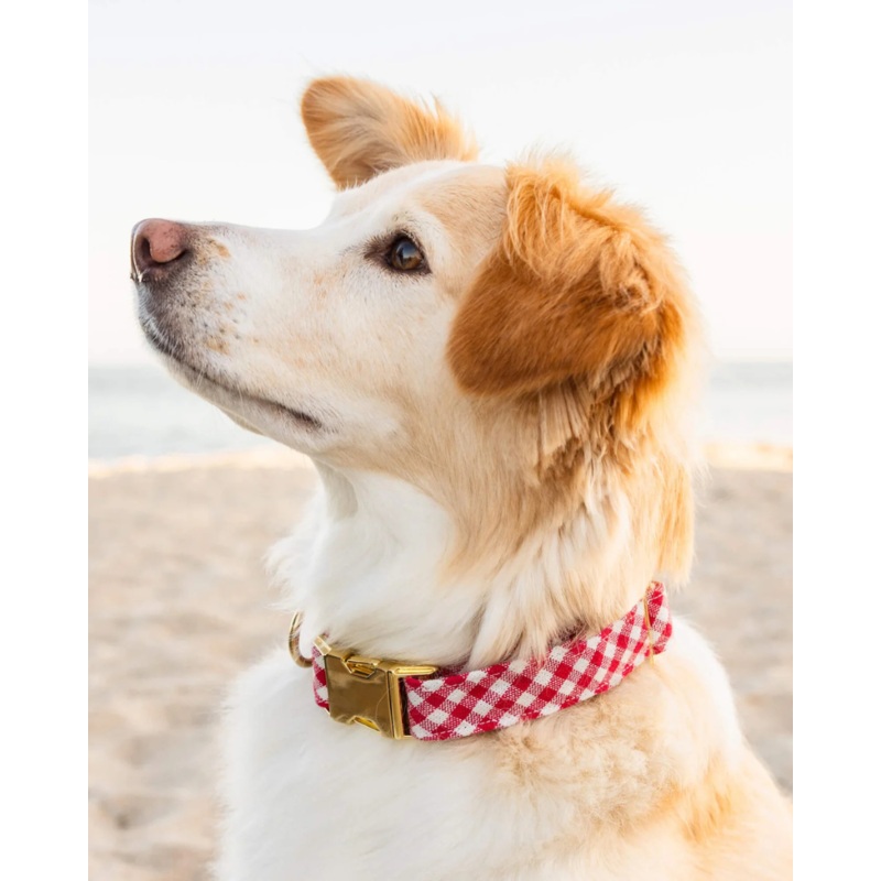 Red Gingham Dog Collar|X-Small|Small|Medium|Large
