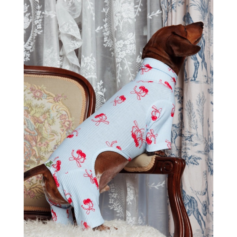 Rest Assured Dog Onesie (FINAL SALE)