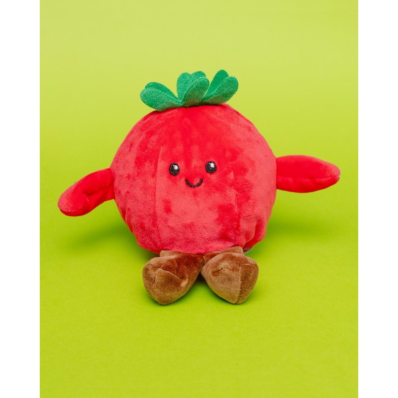 Tommy the Tomato Squeaker Ball Dog Toy (5)