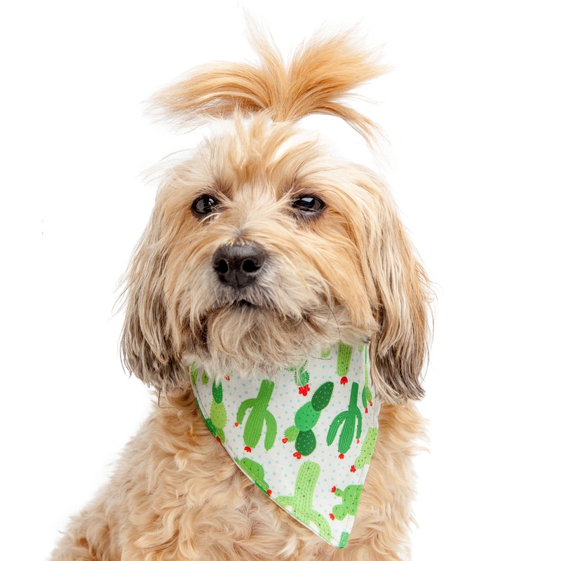 TRISH HAMPTON | Cacti Bandana|Small|Medium|Large