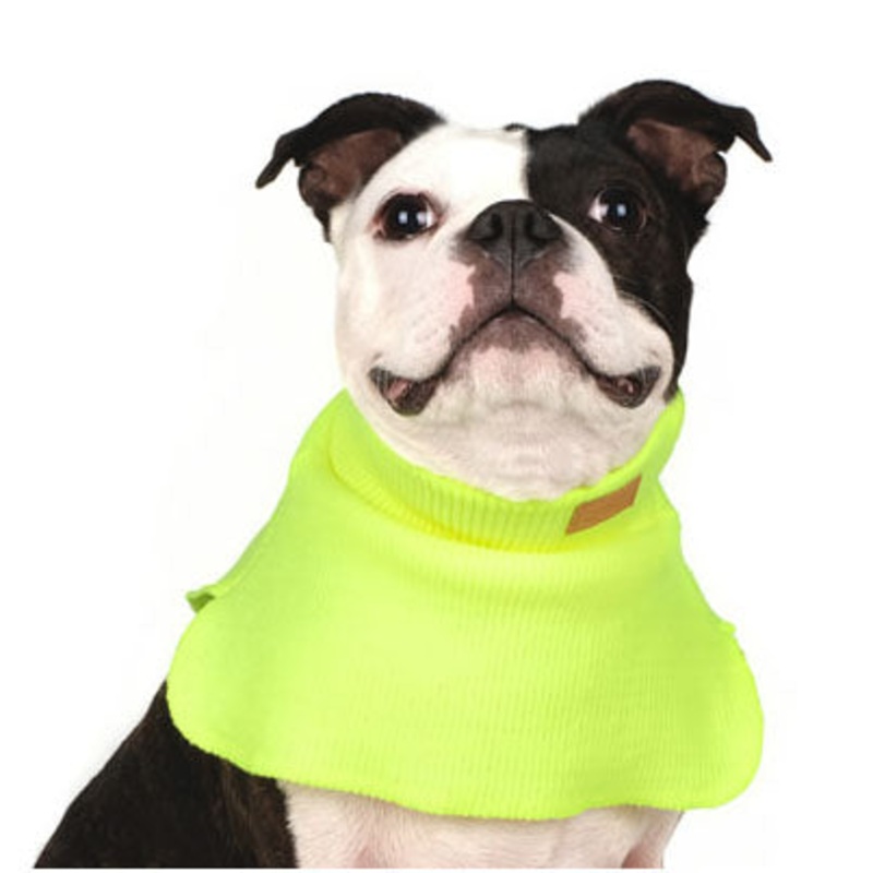 CHARLIE’S BACKYARD | Dickie Turtleneck Warmer in Neon Yellow