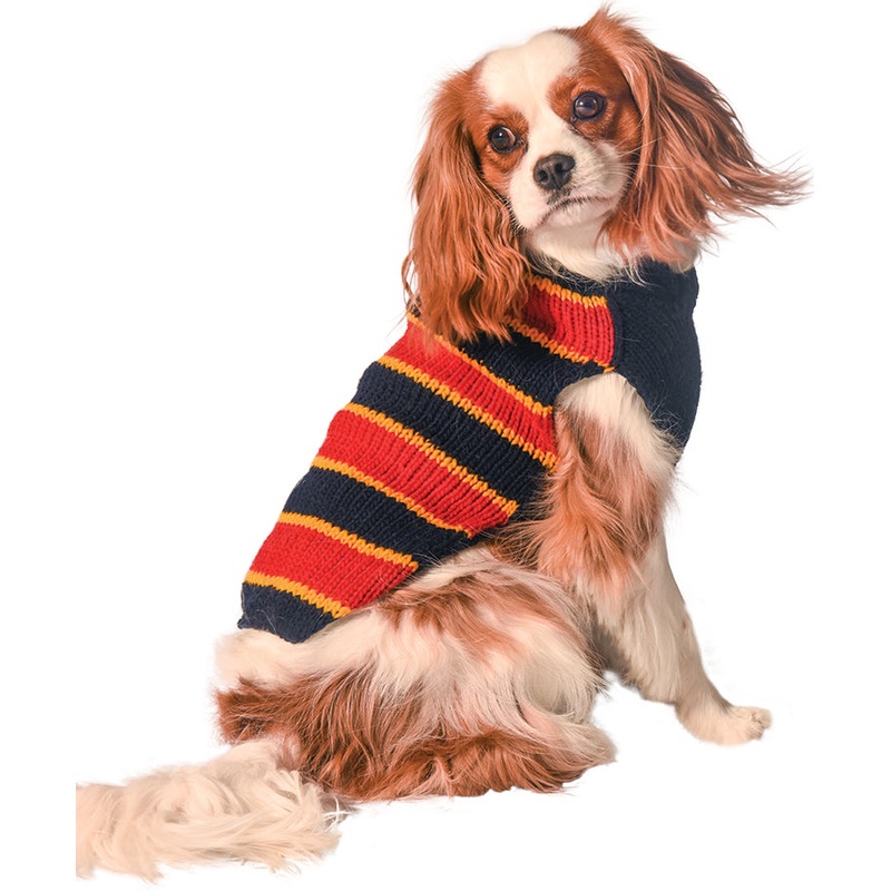 CHILLY DOG | Rugby Sweater|XXS|XS|S|M|L|XL|XXL|XXXL
