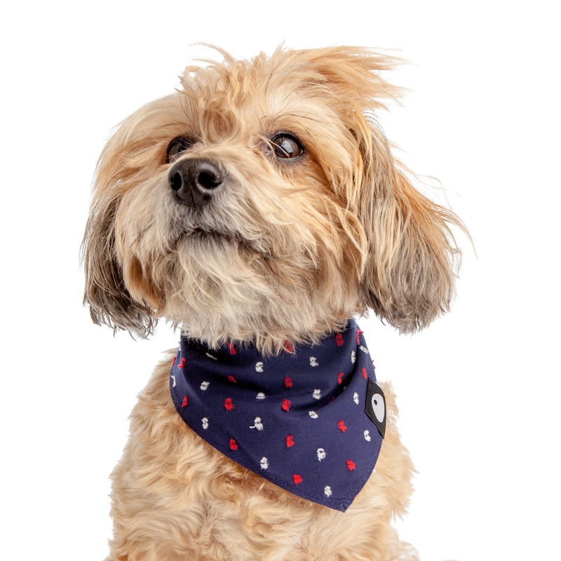 Cotton Fleck Bandana in Navy + Red (FINAL SALE)