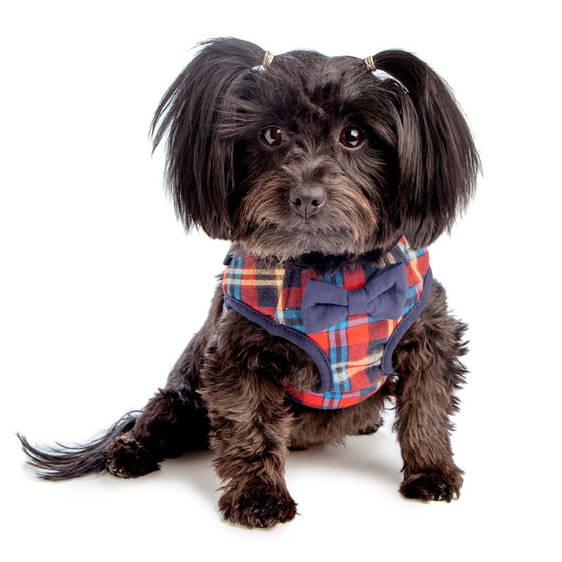CROCI | British Plaid Harness|XSmall|Small|Medium