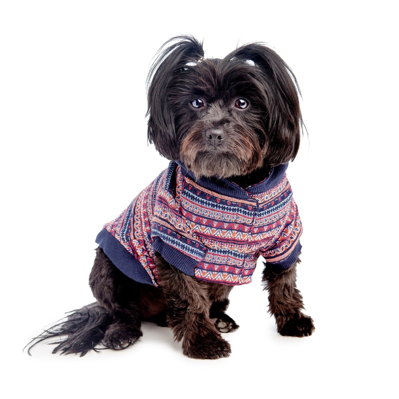 CROCI | South American Sweatshirt