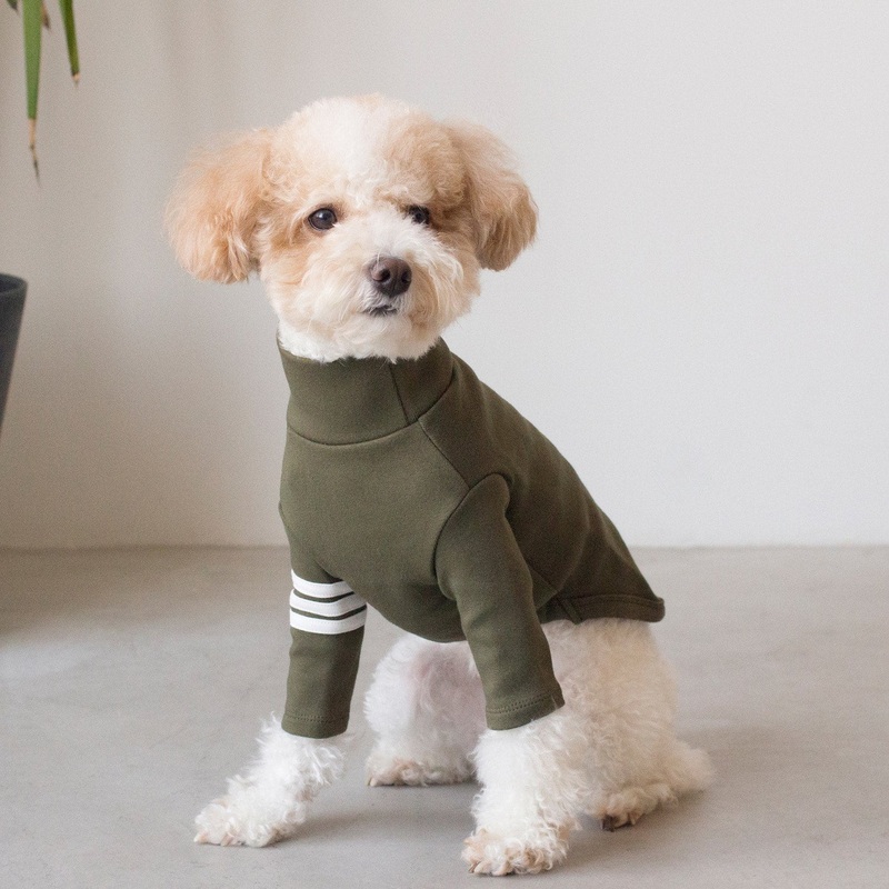 DENTISTS APPOINTMENT | Striped Point Turtleneck in Khaki