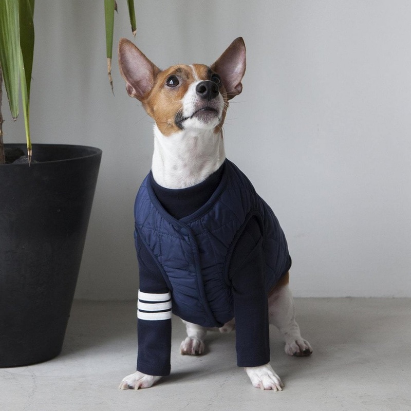 DENTISTS APPOINTMENT | Warm Quilted Vest in Navy (w/ Harness Hole)