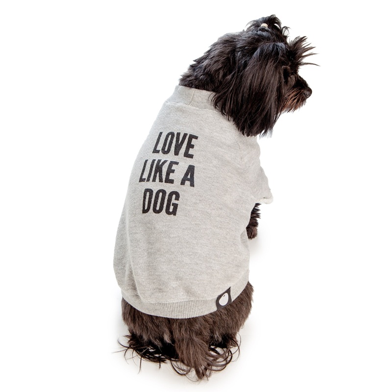 DOG & CO. | Love Like a Dog Crewneck Sweatshirt