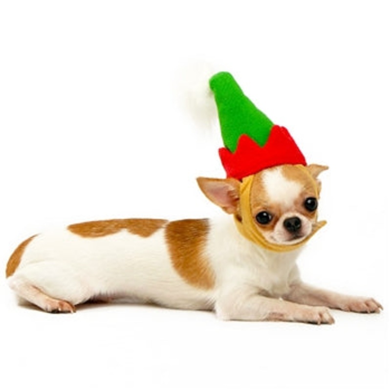 DOGO | Elf Hat|XS|S|M|L