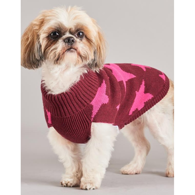 TINY WOLF | Superstar Dog Sweater