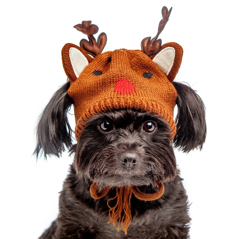 WORTHY DOG | Reindeer Hat|XS|S|M|L