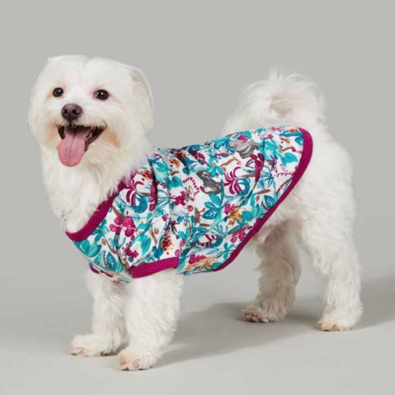 BEDHEAD | Lounge Dog T in Into the Jungle