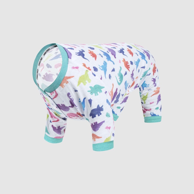 CANADA POOCH | Weekend Onesie in Dinosaur