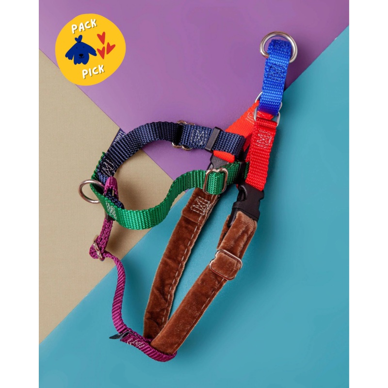 Freedom No-Pull Harness in Spice (Made in the USA)