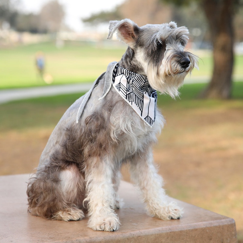 LONG DOG CLOTHING | The Fletcher Bandana