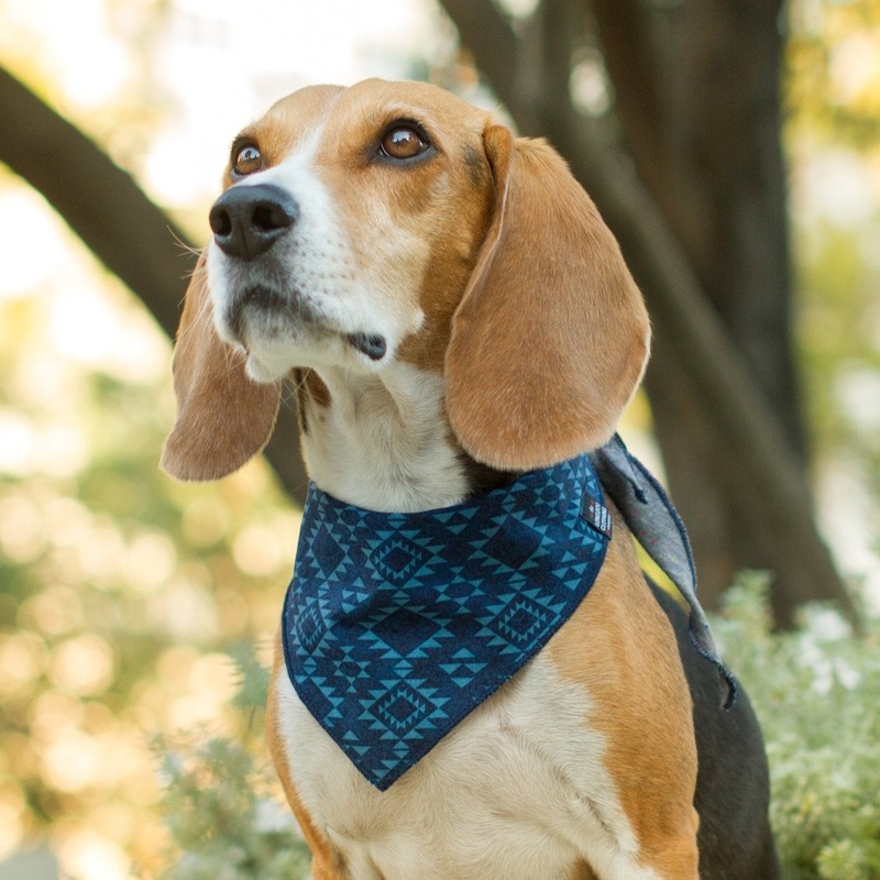 LONG DOG CLOTHING | The Mayan Bandana
