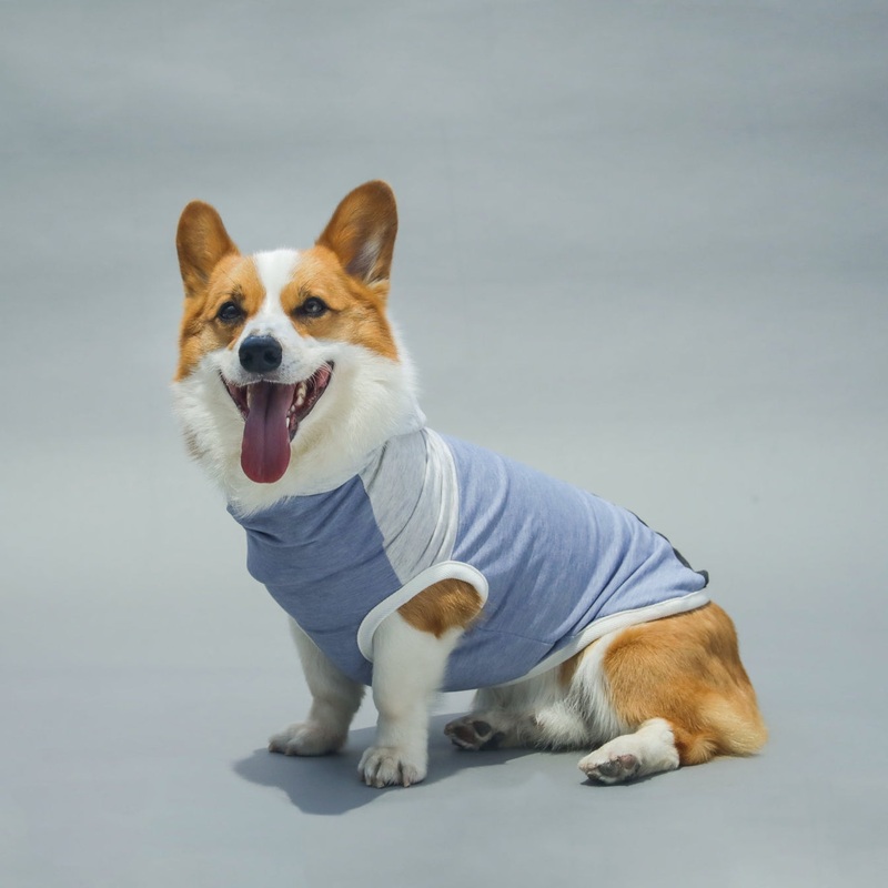LONG DOG CLOTHING | The Skater