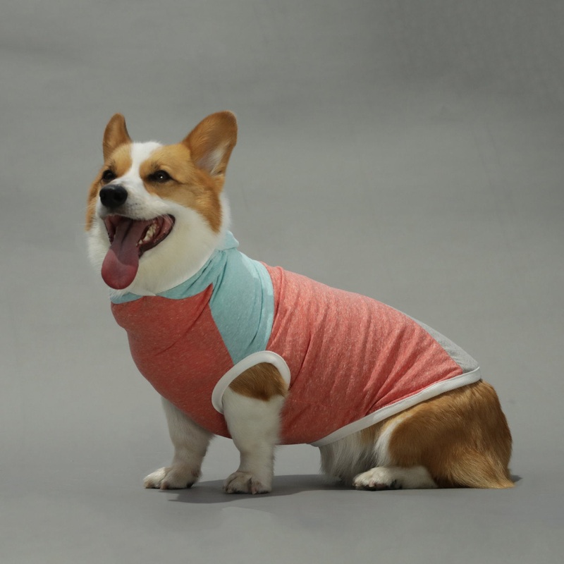 LONG DOG CLOTHING | The Surfer