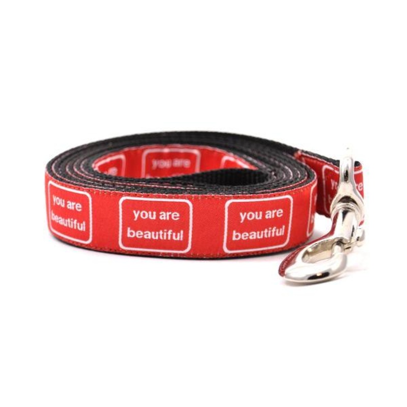 SIX POINT PET | You are Beautiful Leash