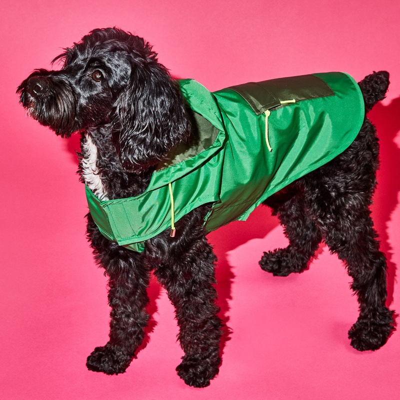 WARE OF THE DOG | Colorblock Anorak Raincoat in Green/Olive
