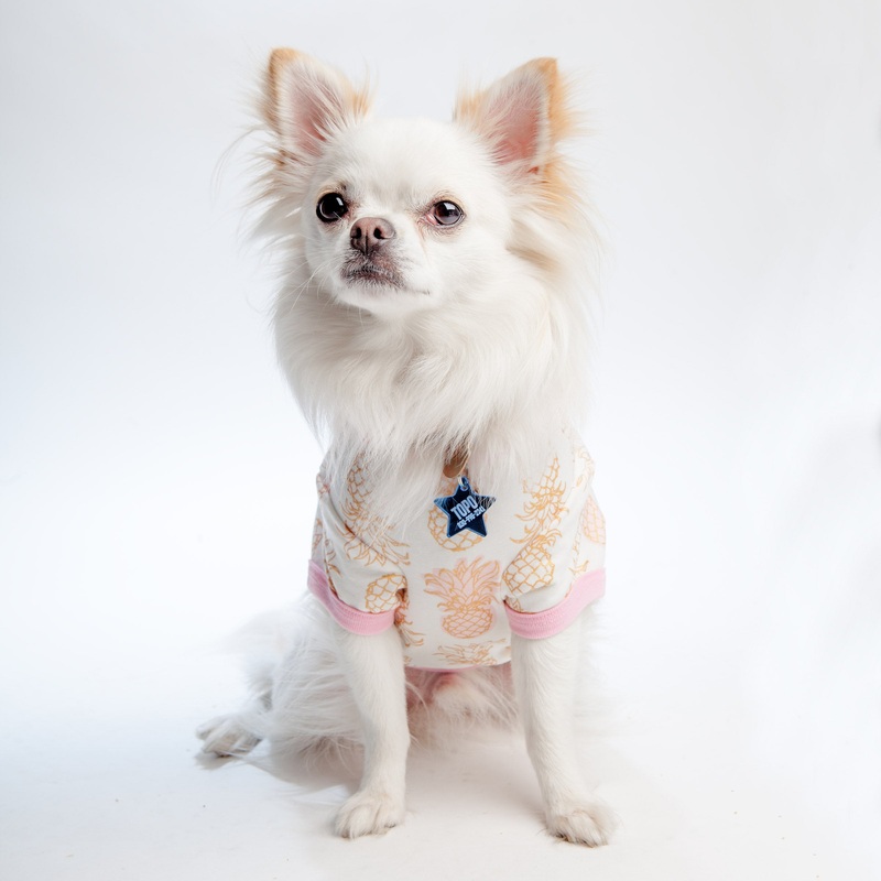 BEDHEAD | Lounge Dog T in Golden Pineapple