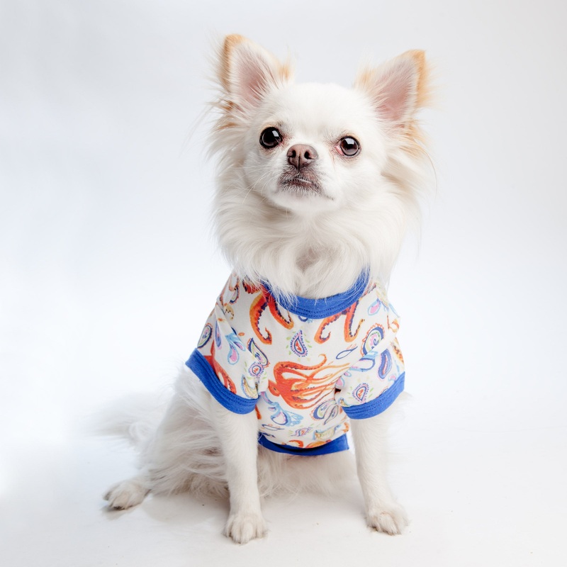 BEDHEAD | Lounge Dog T in Into the Deep