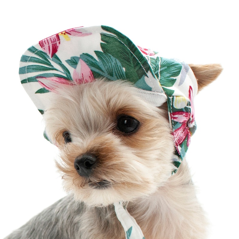 DOGO | Tropical Island Hat|XS|S|M|L|XL