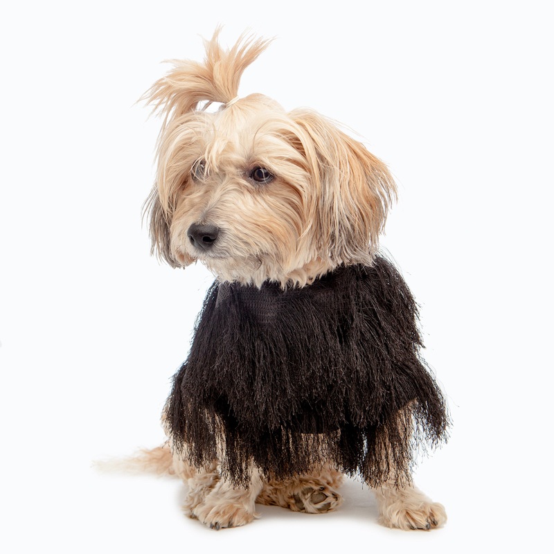 DUKE & DUTCHESS | Fringe Coat in Black