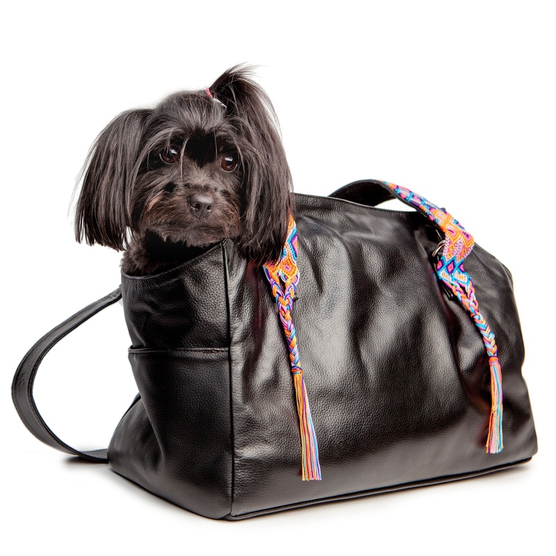 HEKA PET | Leather Pet Carrier