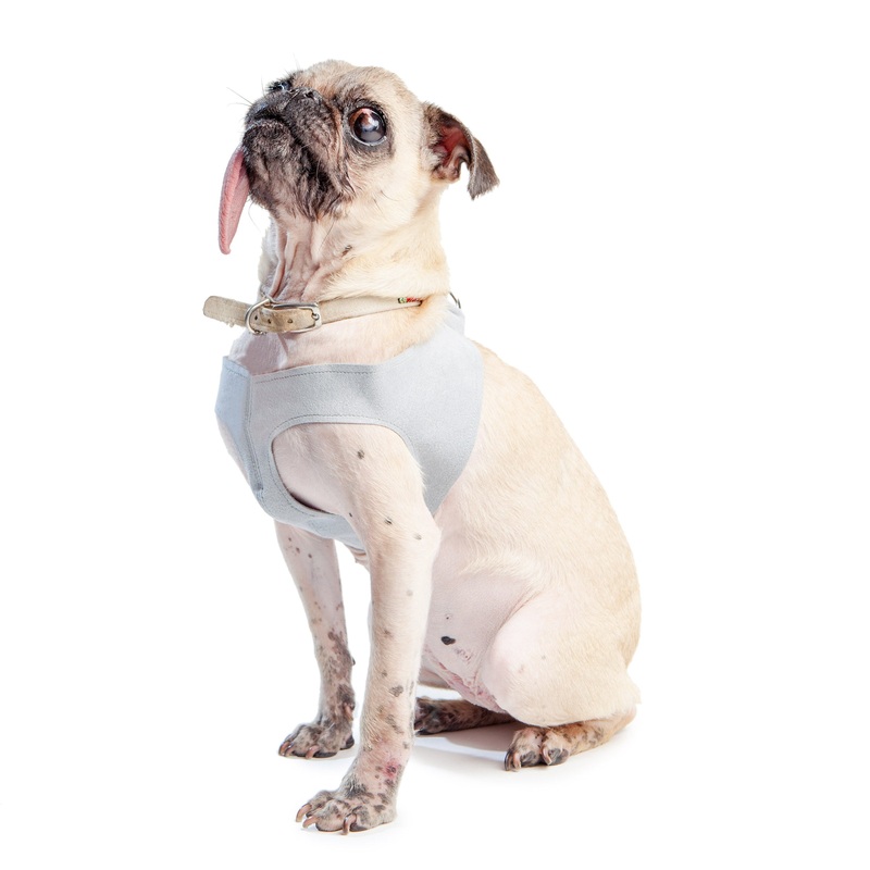 SUSAN LANCI | Step In Harness in Grey
