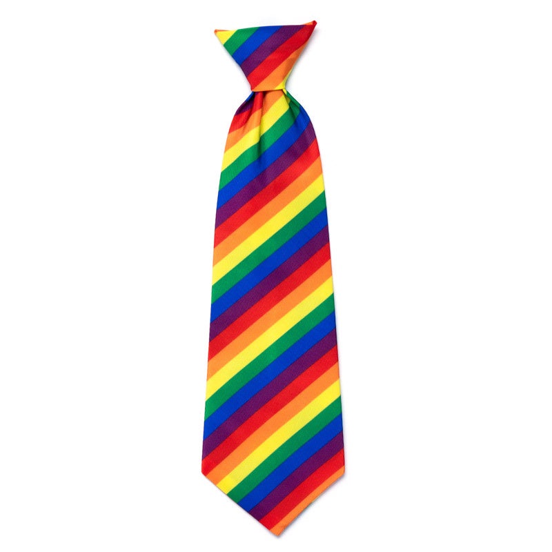 THE WORTHY DOG | Rainbow Neck Tie
