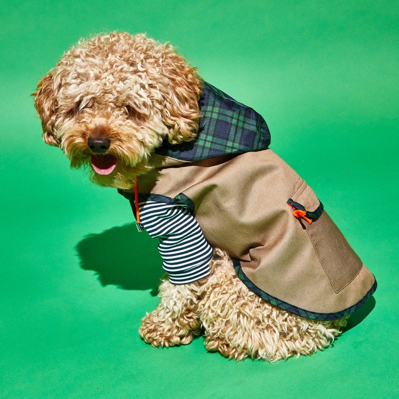 WARE OF THE DOG | Khaki Anorak Raincoat with Tartan Trim