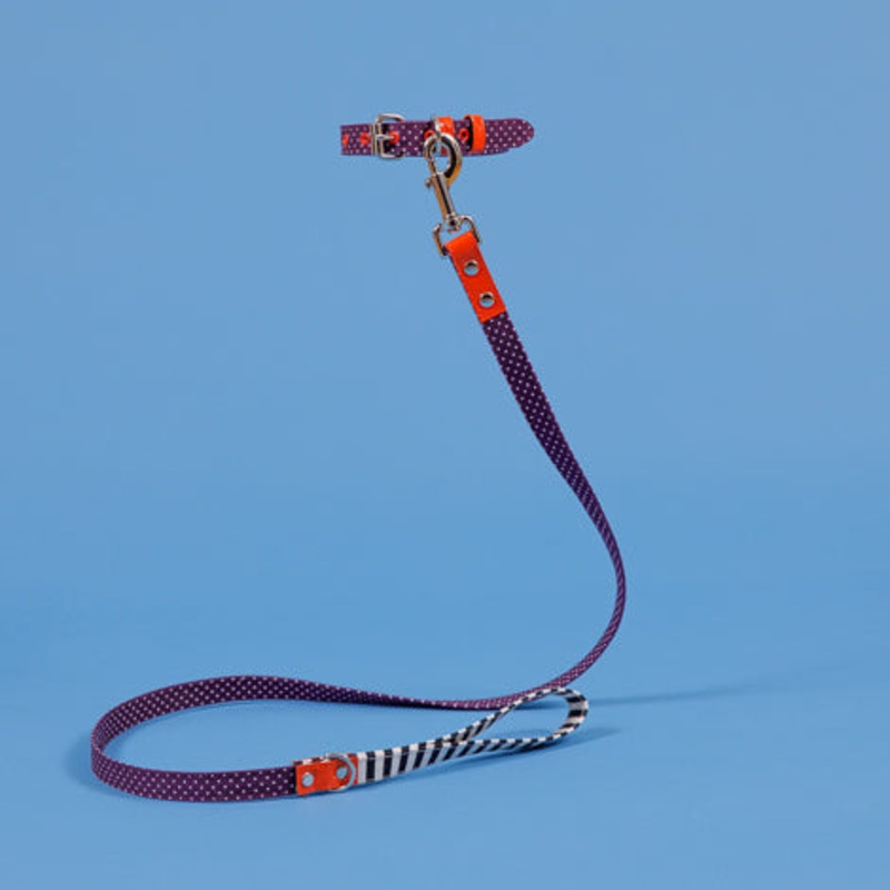 WARE of the DOG | Polka Dot Canvas Leash