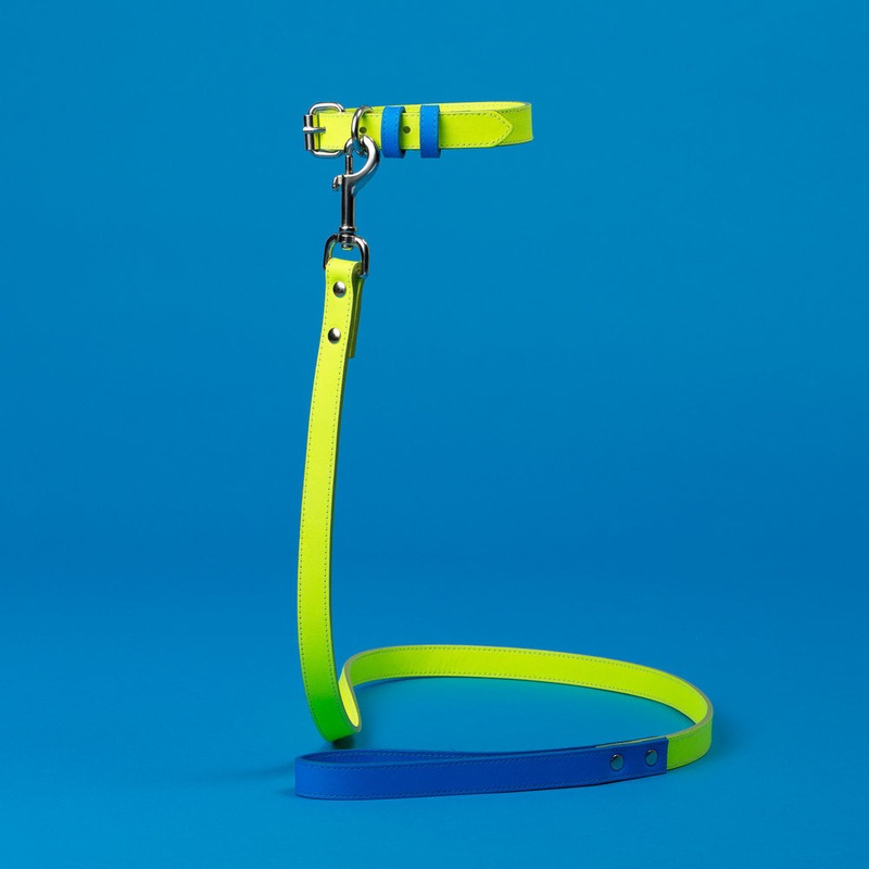 WARE of the DOG | Two Tone Leather Leash in Yellow / Blue