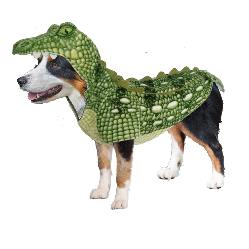 AMAZING PET PRODUCTS | Crocodile Costume