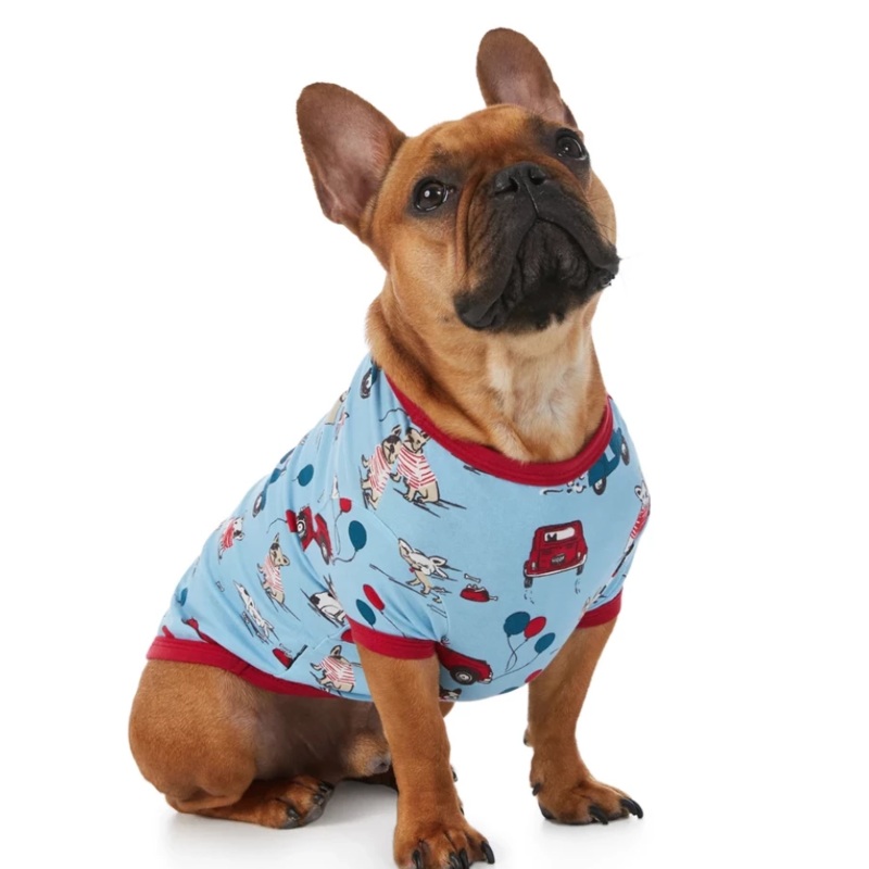 BEDHEAD | Lounge Dog T in Murray’s Day Out