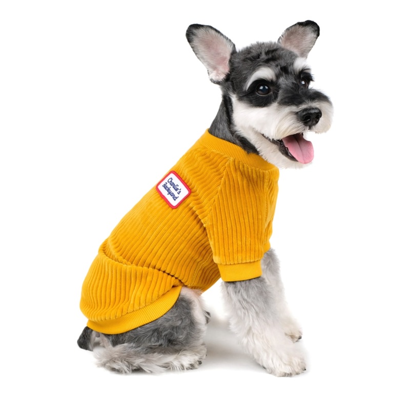 CHARLIE’S BACKYARD | Alley Pullover in Mustard