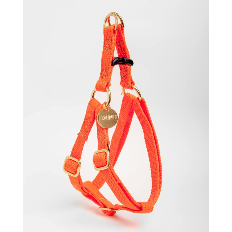 Cotton Webbing Harness in Orange