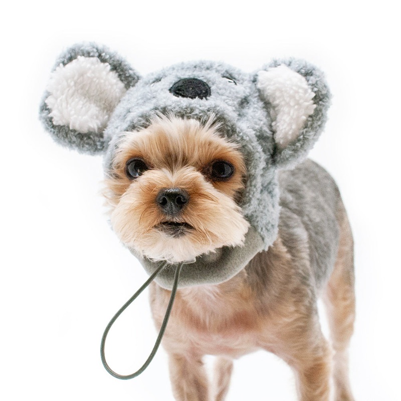 DOGO | Koala Hat|XS|S|M|L|XL