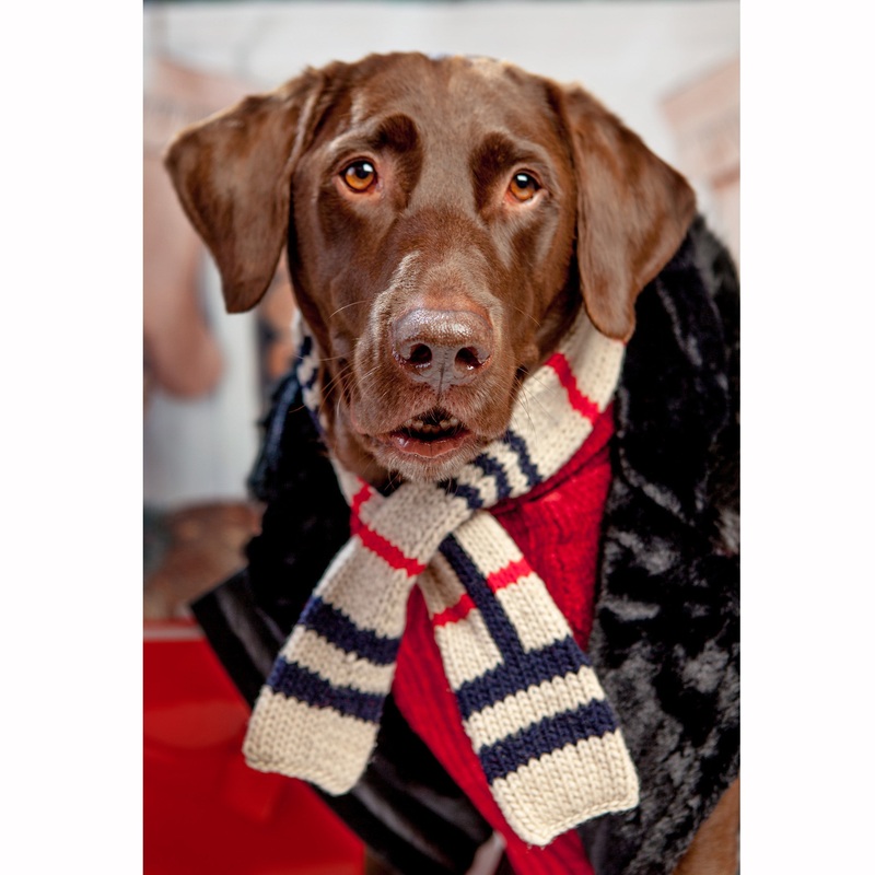 CHILLY DOG | Tan Plaid Scarf|Small|Medium|Large