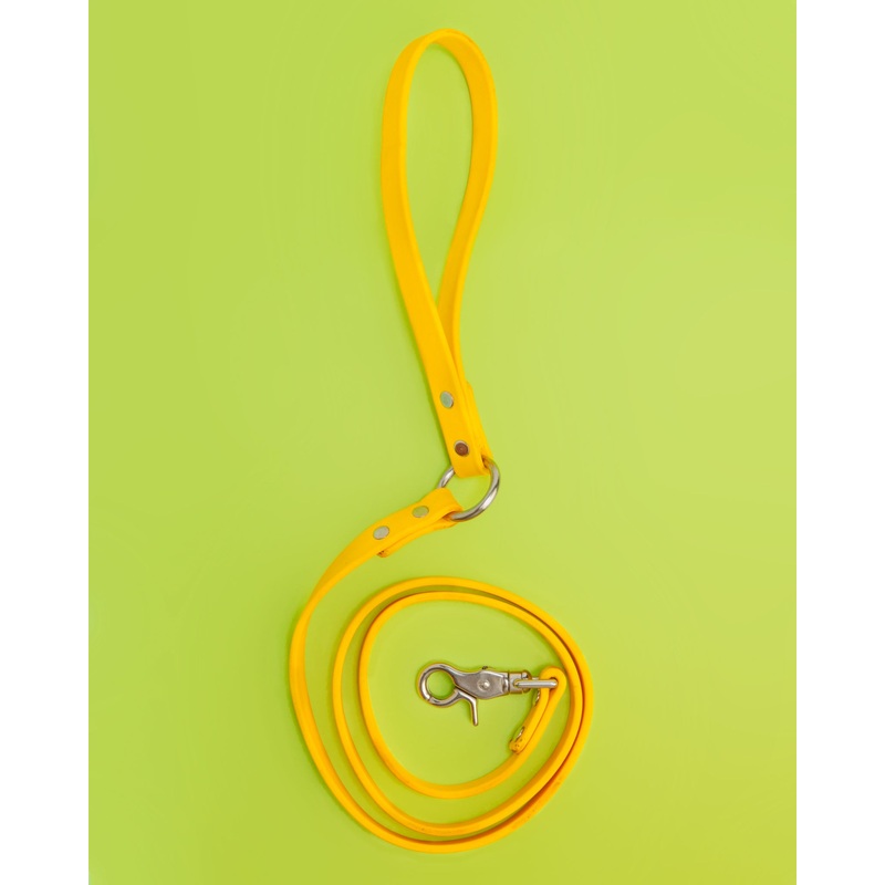 City Leash in Golden Yellow|Small|Large