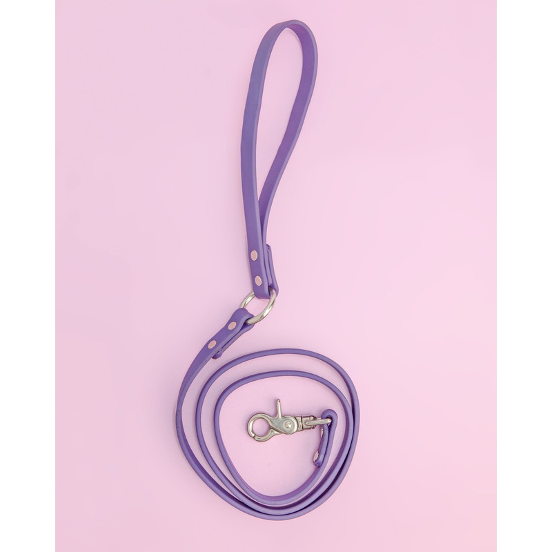 City Leash in Royal Purple (FINAL SALE)
