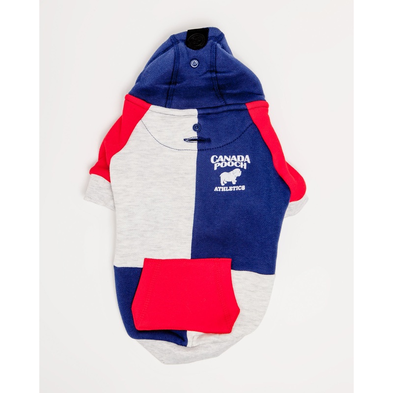 Colorblock Hoodie in Navy (FINAL SALE)