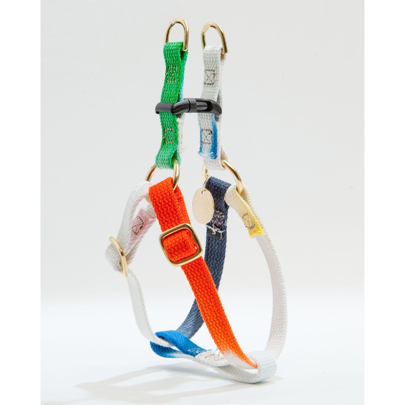 Cotton Webbing Harness in Dog & Co. Ombre