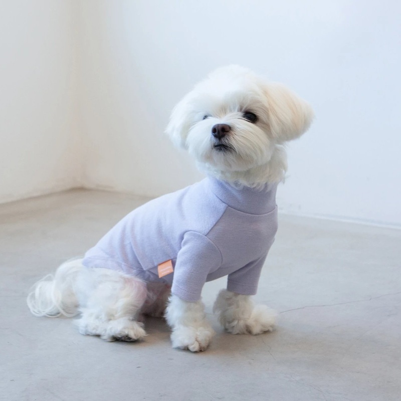 DENTISTS APPOINTMENT | Basic Turtleneck in Light Lavender