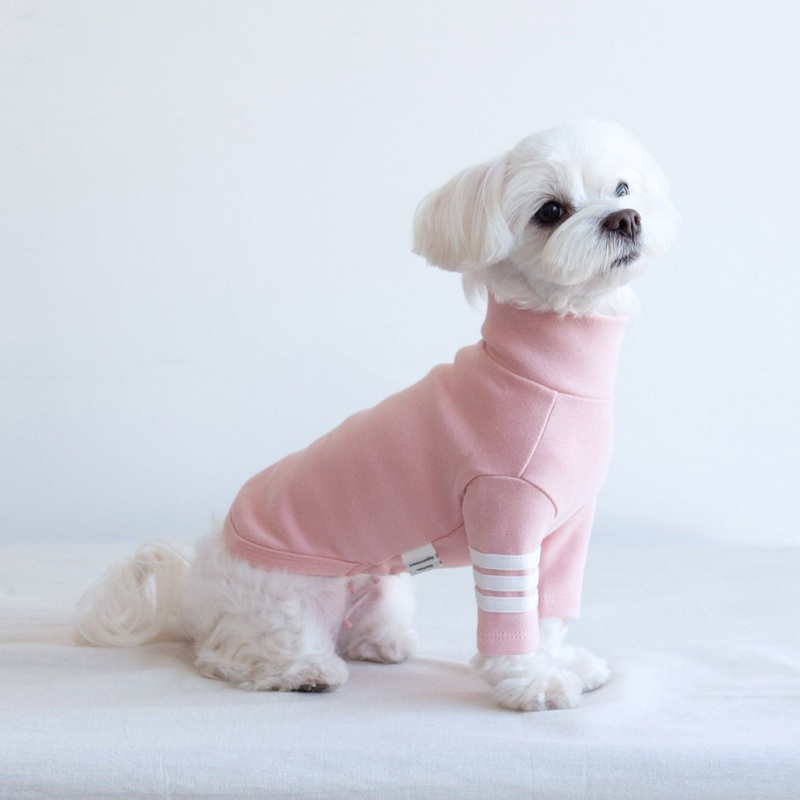 DENTISTS APPOINTMENT | Striped Point Turtleneck in Soft Pink