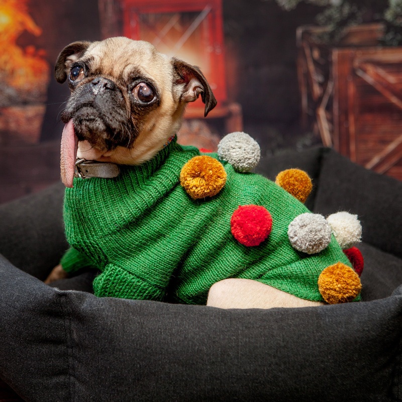 OEUF | Green Pom Pom Sweater|XS|S|M|L